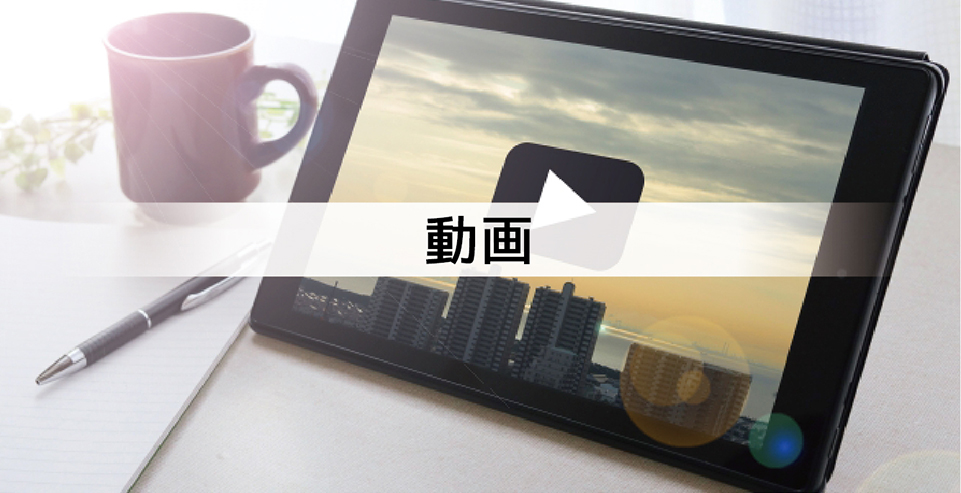 動畫詳細(xì)"